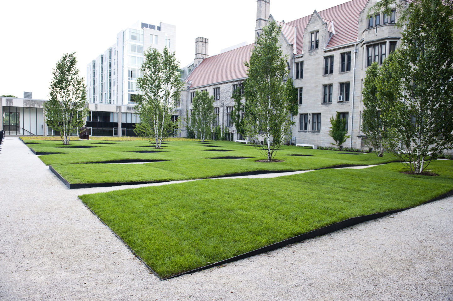 Custom minimalist wrought iron lawn edging powder coated satin black for a client in Hyde Park